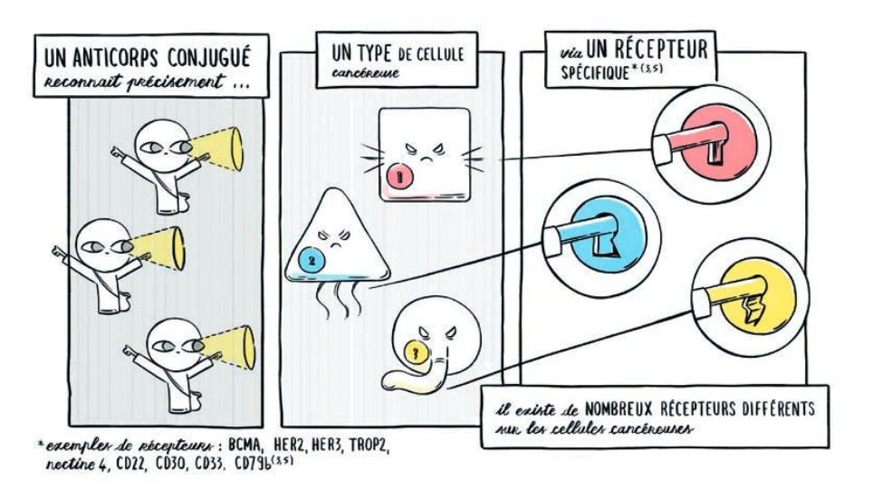 brochure-page-16