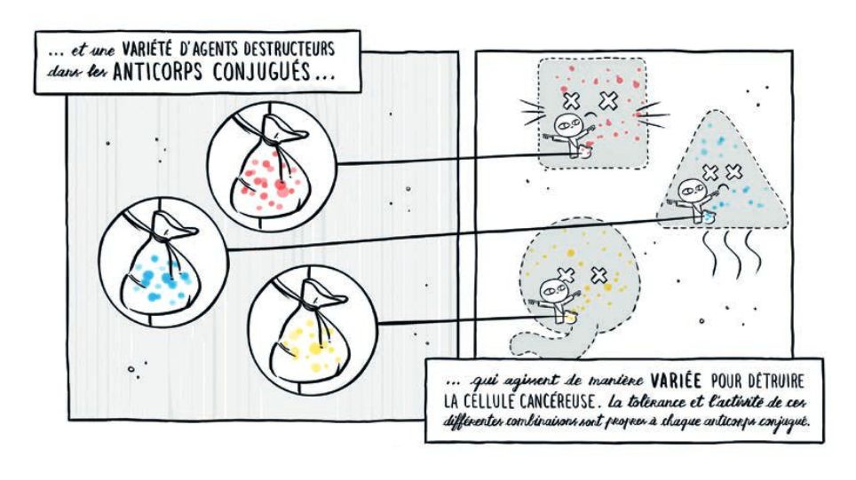 brochure-page-17